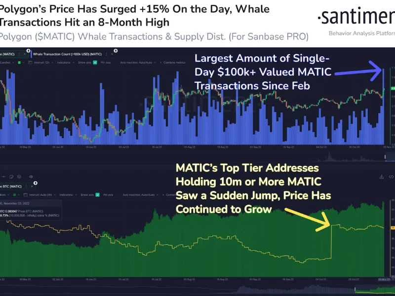 Crypto Whale